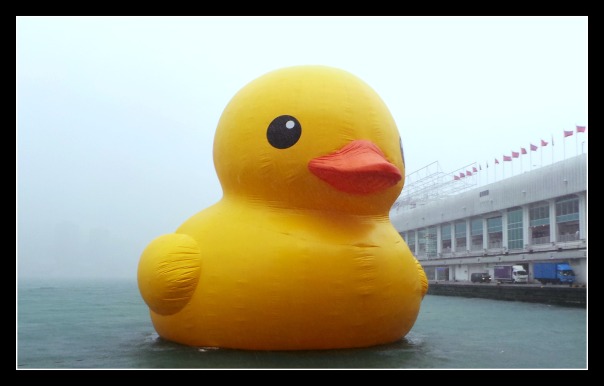 Giant Duck 3